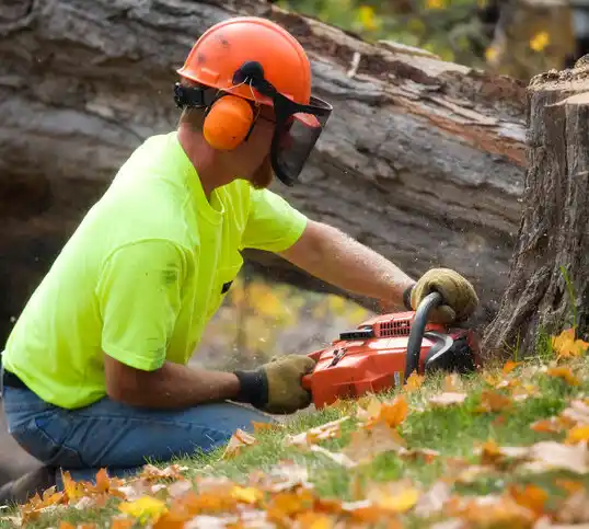 tree services Wolf Point